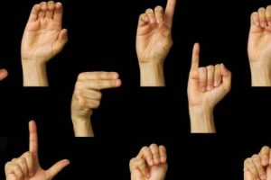 lingua dei segni (lis)