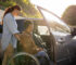 trasportare in auto un disabile